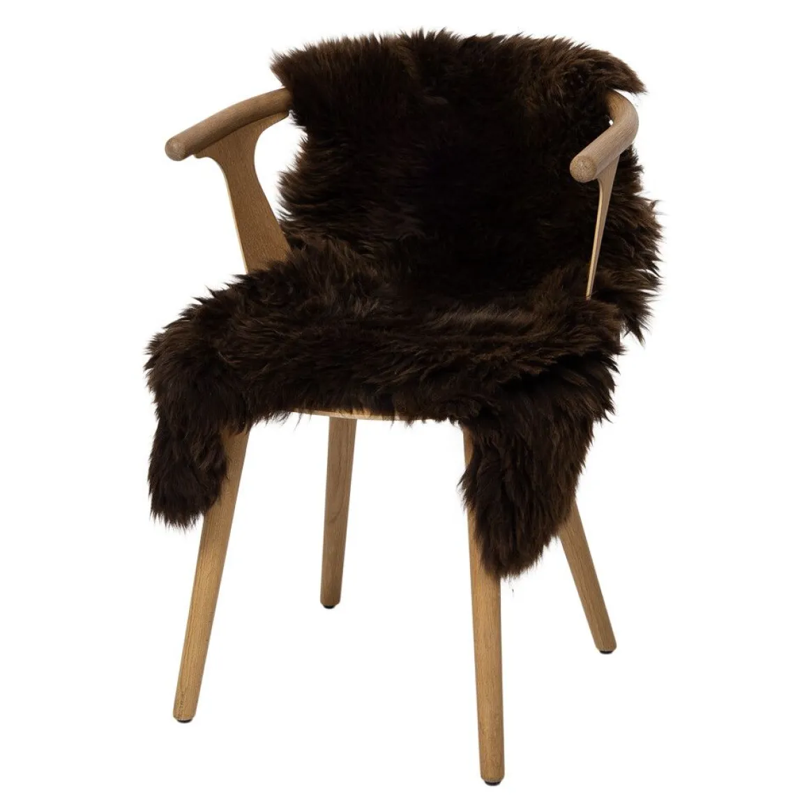 Lammeskind | England | 100-110x60 cm