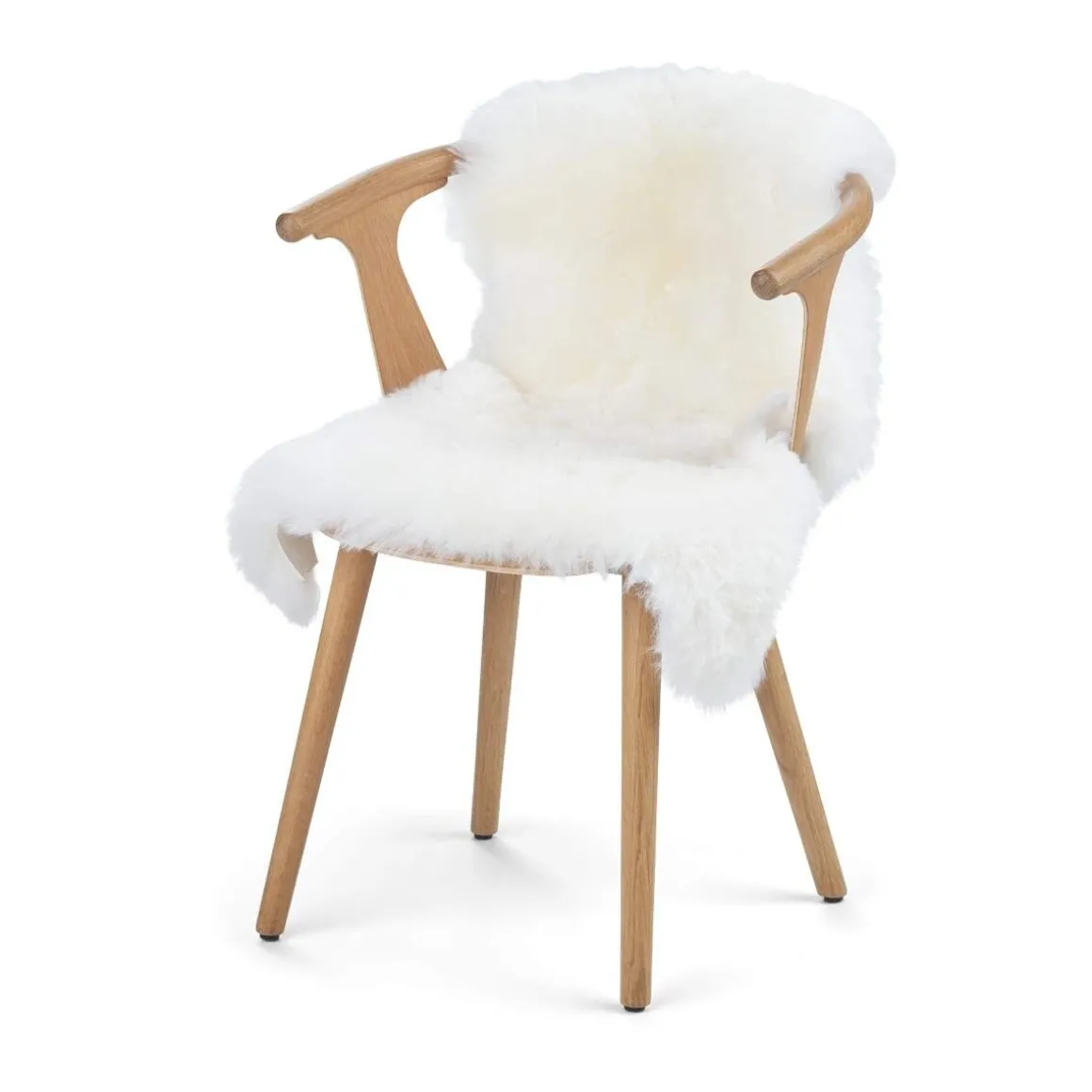 Lammeskind | England | 100-110x60 cm
