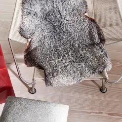 Lammeskind | Korthåret, krøllet | Gotland | 90-100x60 cm