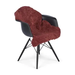 Lammeskind | Korthåret Krøllet | New Zealand | Tæppe 100 cm