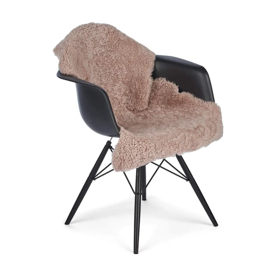 Lammeskind | Korthåret | New Zealand | 90x60 cm