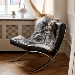 Lammeskind | Langhåret | Island | 90x60 cm