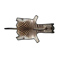 Zebraskind | Premium kvalitet | Sydafrika | Filtbagside