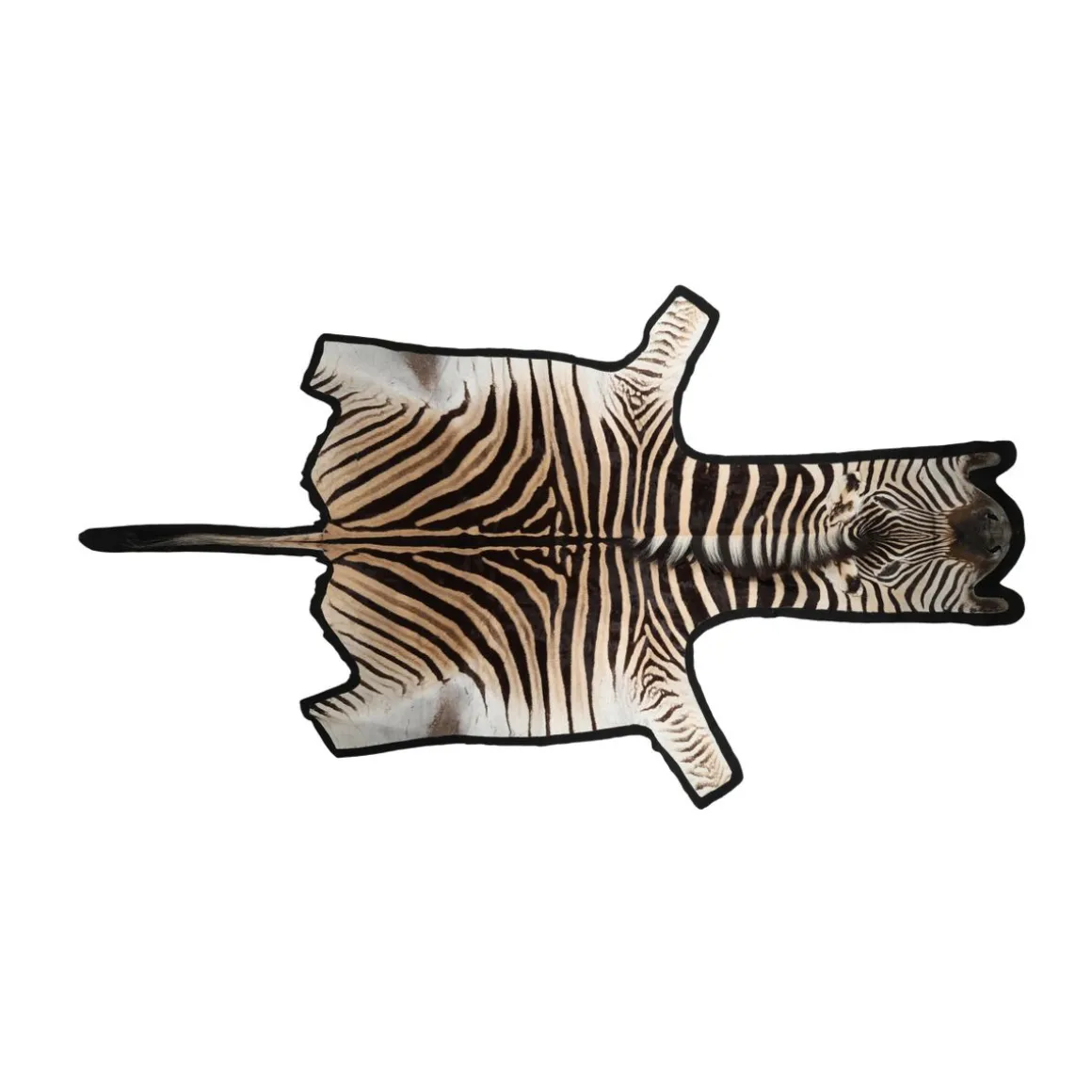Zebraskind | Premium kvalitet | Sydafrika | Filtbagside