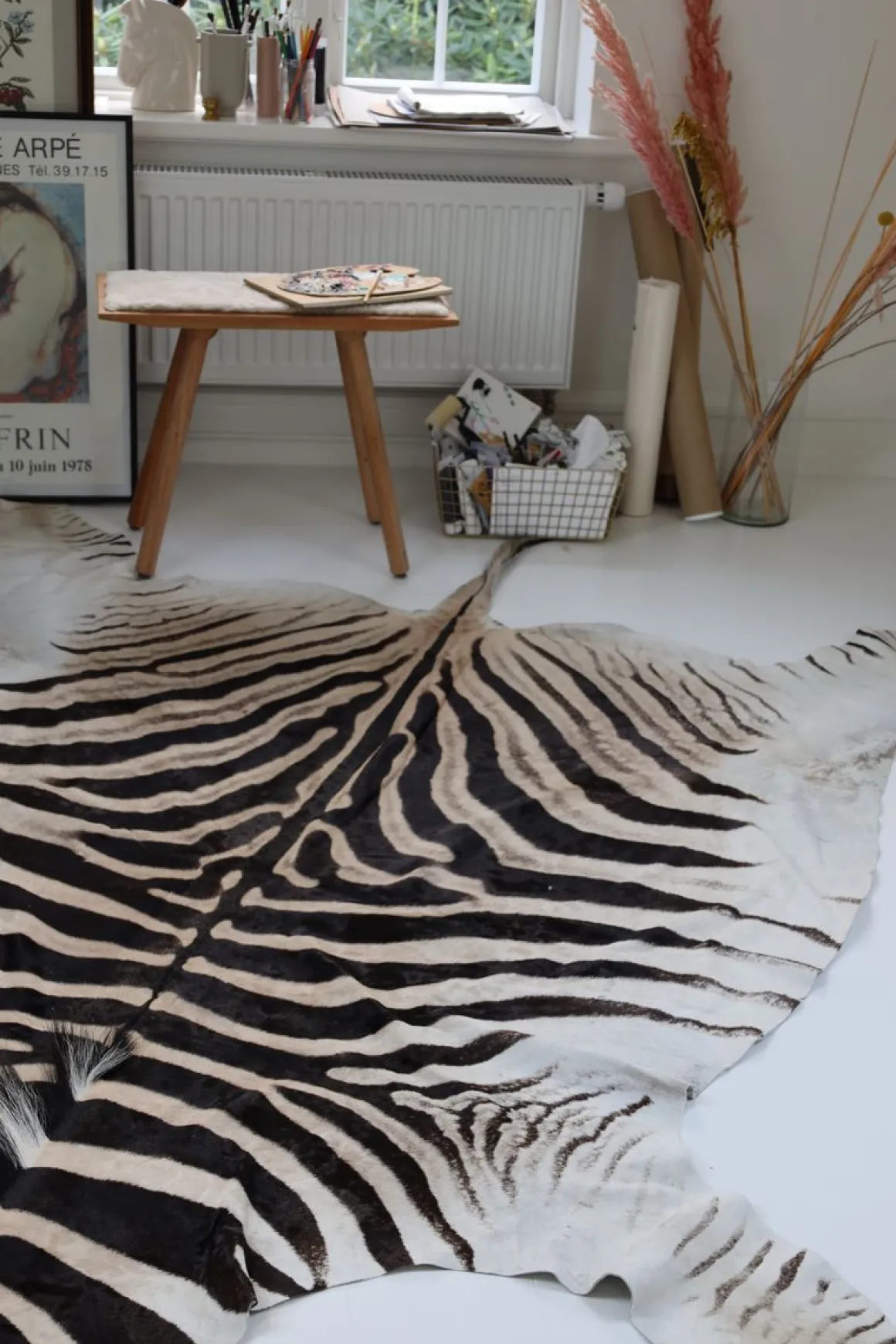 Zebraskind | Sydafrika