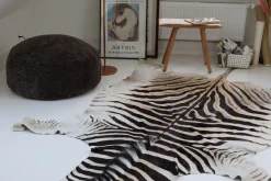 Zebraskind | Sydafrika