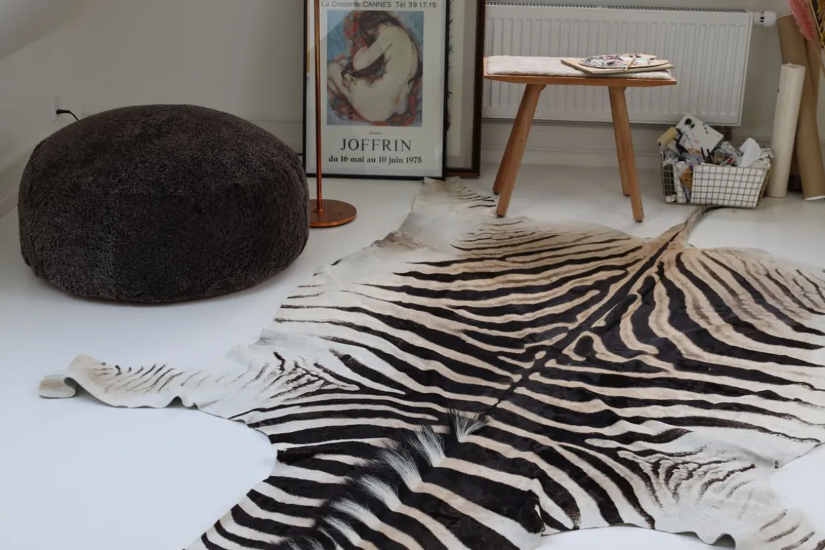 Zebraskind | Sydafrika